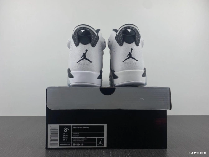 384664-101 Retro Jordan 6 Oreo 0817